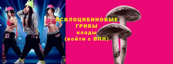 дмт Осинники