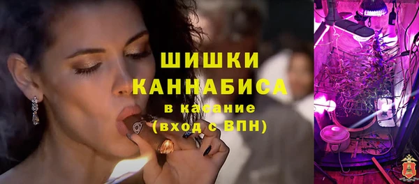 дмт Осинники