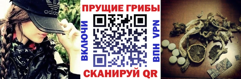 Галлюциногенные грибы Psilocybine cubensis  blacksprut маркетплейс  Старый Крым 